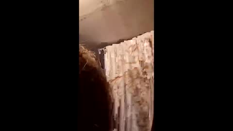 Snapshot of pizzedwife chatting on February 4, 2026, 7:09 pm pizzedwife online show from February 4, 2026, 7:09 pm