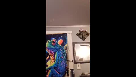 Snapshot of pizzedwife chatting on February 13, 2026, 8:16 pm pizzedwife online show from February 13, 2026, 8:16 pm