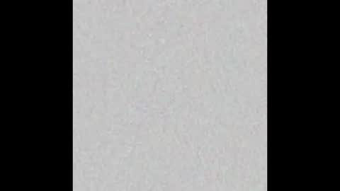 PLADPLAS online show from February 16, 2025, 7:59 am