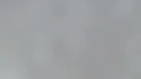 playboypetit online show from January 13, 2025, 12:51 am