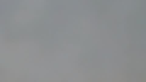 playboypetit online show from January 15, 2025, 9:41 pm