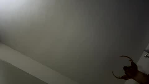 Snapshot of playerpleasure chatting on November 9, 2025, 3:49 am playerpleasure online show from November 9, 2025, 3:49 am