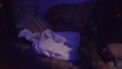 Snapshot of playerpleasure chatting on April 4, 2026, 10:02 am playerpleasure online show from April 4, 2026, 10:02 am