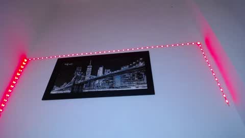  CHARLOTTE  online show from December 17, 2024, 4:53 pm