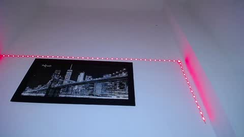  CHARLOTTE  online show from December 27, 2024, 7:46 pm