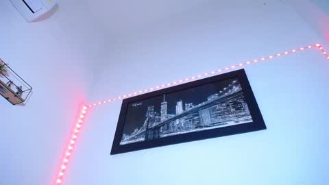  CHARLOTTE  online show from January 22, 2025, 1:21 pm