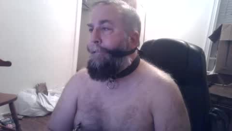 Snapshot of pleasurepuppt chatting on December 3, 2024, 1:52 am pleasurepuppt online show from December 3, 2024, 1:52 am