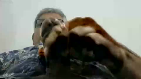 poli online show from November 17, 2025, 2:56 pm