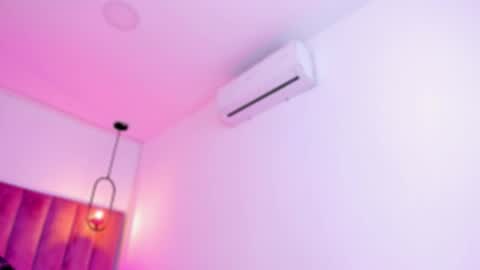 POLLY online show from March 7, 2026, 10:12 am