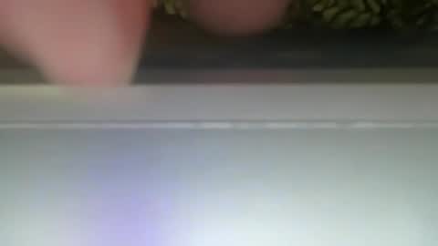 PONCH online show from December 30, 2024, 12:31 pm