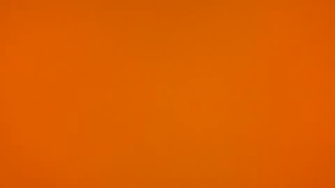 Poprigyn53535 online show from February 22, 2026, 10:36 am