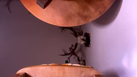 PornStriker online show from October 19, 2025, 4:24 am