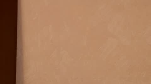 Snapshot of posh_lady chatting on October 31, 2025, 11:06 pm LADY POSH online show from October 31, 2025, 11:06 pm