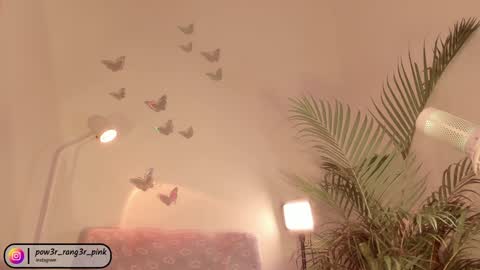 genie online show from December 5, 2024, 10:01 am