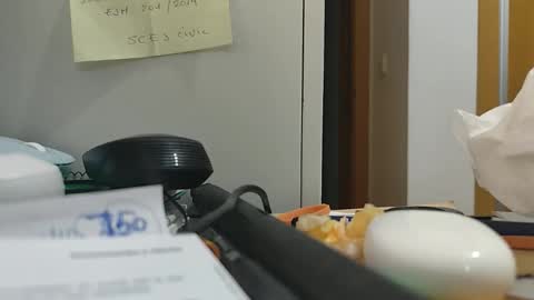 ppillo online show from November 17, 2025, 10:48 pm