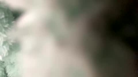 Snapshot of pretty_boy_jack chatting on December 20, 2024, 4:31 am pretty_boy_jack online show from December 20, 2024, 4:31 am