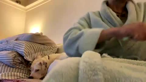 Snapshot of pretty_boy_jack chatting on February 3, 2025, 2:47 am pretty_boy_jack online show from February 3, 2025, 2:47 am