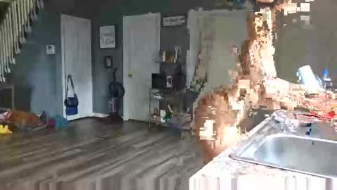 Pink Pussy69 online show from April 15, 2026, 2:02 pm