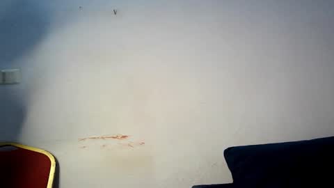 evelyn online show from March 1, 2026, 6:04 am