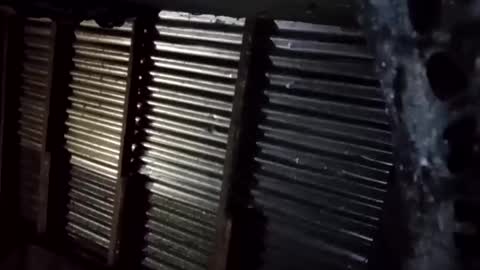 prettyneca5991 online show from January 16, 2026, 5:28 pm