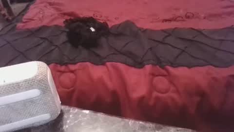 prettyp7729206 online show from November 3, 2025, 9:27 pm