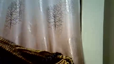 prettyshasha_ online show from September 20, 2025, 4:19 pm