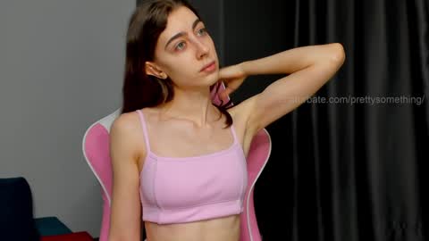 Snapshot of prettysomething chatting on January 13, 2025, 9:09 pm Sophie next stream will be at Monday i will wait you guys online show from January 13, 2025, 9:09 pm