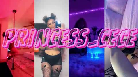 Snapshot of princess_cece chatting on February 27, 2026, 9:04 pm Cece NEXT LIVESTREAM -- DEC. 4th 7 PM CST online show from February 27, 2026, 9:04 pm