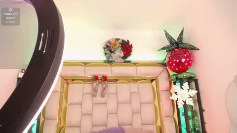 Snapshot of princess_helena_ chatting on December 20, 2024, 5:36 am princess helena online show from December 20, 2024, 5:36 am