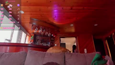 Cori online show from December 11, 2024, 2:00 pm