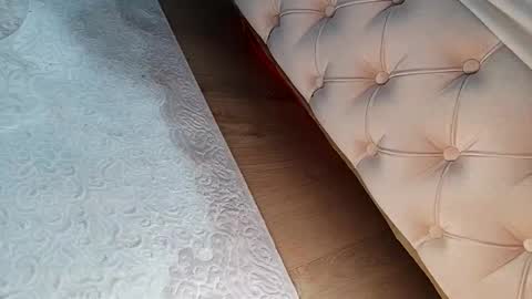 prinzkail643 online show from February 3, 2026, 2:55 pm