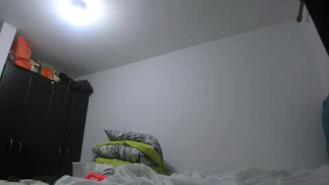 Snapshot of priscilasmiith25 chatting on February 24, 2025, 4:27 am PriscilaSmiith online show from February 24, 2025, 4:27 am