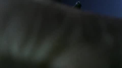 Snapshot of privatefuckit chatting on January 5, 2026, 9:51 pm privatefuckit online show from January 5, 2026, 9:51 pm