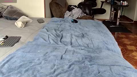 Probardetodo independent model online show from February 1, 2026, 1:42 pm