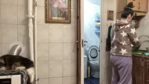 proud sweet 21 online show from February 1, 2026, 11:47 pm