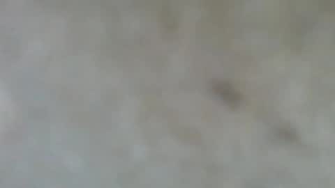 psachno online show from November 10, 2025, 12:37 pm