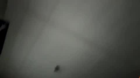 pufftropica online show from January 7, 2026, 3:36 pm