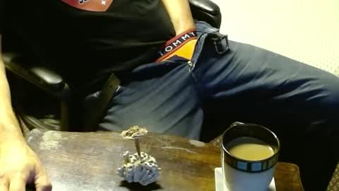 Snapshot of punkypapi chatting on October 12, 2025, 12:31 am Jojo online show from October 12, 2025, 12:31 am