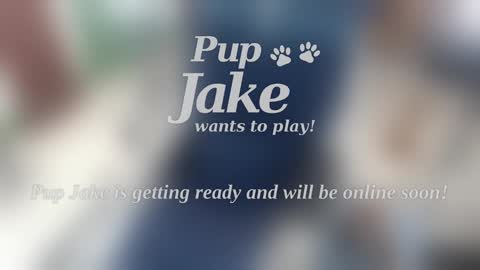 Snapshot of pup_jake chatting on January 5, 2025, 12:53 pm Pup Jake wants to play online show from January 5, 2025, 12:53 pm