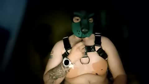 Snapshot of pup_kori chatting on June 8, 2026, 6:14 am Pup Kori online show from June 8, 2026, 6:14 am