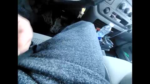 purdyguy7777 online show from December 31, 2024, 6:13 pm