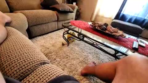 Snapshot of purdyguy7777 chatting on March 19, 2026, 7:40 pm purdyguy7777 online show from March 19, 2026, 7:40 pm