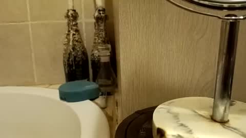 Snapshot of purecharismacpl chatting on February 20, 2026, 10:21 pm purecharismacpl online show from February 20, 2026, 10:21 pm