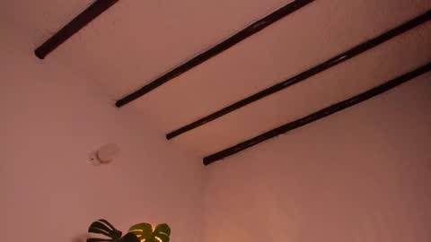 Snapshot of purple_opal chatting on February 9, 2025, 10:11 pm Vero online from Tuesday to Sunday online show from February 9, 2025, 10:11 pm