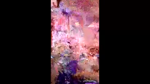 pussycat1331 online show from April 22, 2026, 7:44 am