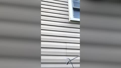 pyrex8 online show from April 11, 2026, 11:36 am