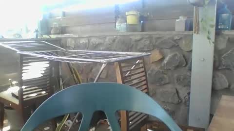 Python online show from November 29, 2025, 4:04 am