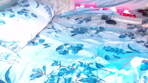 Lita  rat online show from January 7, 2025, 9:46 pm