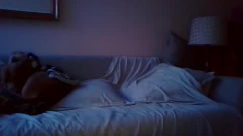 queenbee6269 online show from December 3, 2024, 5:20 am