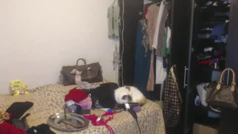 Nico online show from February 13, 2025, 4:00 am